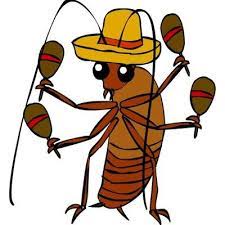 Top pest control services in dallas, tx. All American Carpet Cleaning And Pest Control Home Facebook