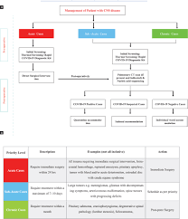 Neurosurgery And Neurology Practices During The Novel Covid 19 Pandemic A Consensus Statement From India