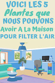 5 Plantes Qui Absorbent L Humidite De Toutes Les Pieces En 2020 Trucs Et Astuces Maison Trucs Et Astuces Plante