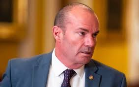 Anna Searcy (@AnnaSearcy)