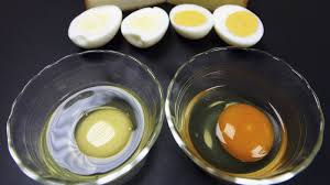 Help My Egg Yolks Are Freakishly White The Salt Npr
