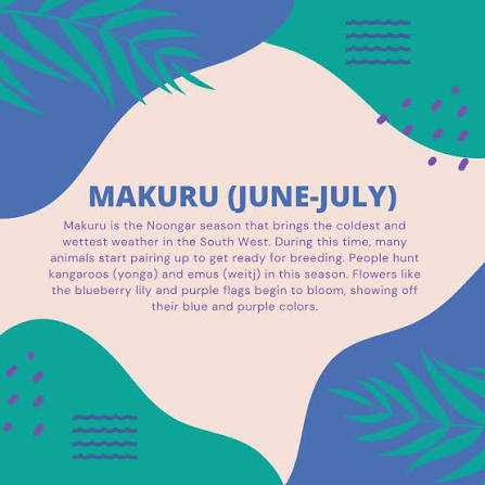 Did you know Makuru Season has begun in Perth (Boorloo)? 🌧 Makuru is the  Noongar Season from June to July. It brings the coldest, wettest weather,  and beautiful flowers like blueberry lilies