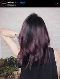 “i capelli color chocolat lilac sono un mix perfetto. Capelli Viola Scuro Chiaro Melanzana Tinte E Sfumature Amica