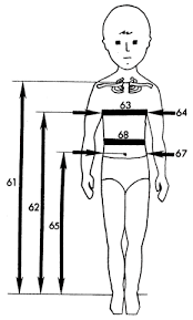 Anthropokids Child Anthropometrics