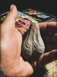 金玉カバン 人気YouTuber 伝説の逸品 衝撃の リアルさ