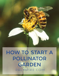 So Starten Sie Einen Pollinator Garden Gard In 2020 Einheimische Pflanzen Container Garten Garten
