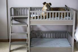 It features a beautiful design, high build quality, and at a reasonable price. 12 Bunk Beds For Dogs Recommended For Multi Dog Households Healthy Homemade Dog Treats