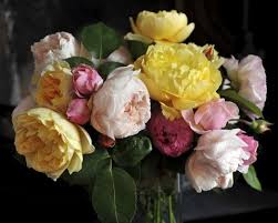 White peony and berry pick, peony bush, artificial peony, peony for floral arrangements, keleas, keleas flowers. 4 Flowers To Hold You Over Until The Next Peony Season