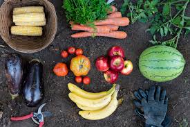 7 Fruits And Veggies That Used To Look A Whole Lot Different Than They Do Today