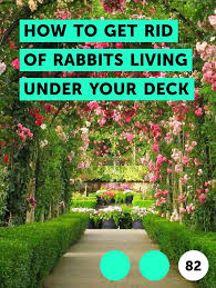 How to get rid of rabbits in your flower garden. Pin On Yard Maintenance