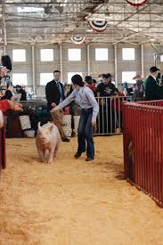 Pin By Macy Bowers On Ffa In 2020 Ffa Livestock Animals