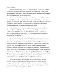 We did not find results for: Kh