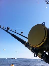 Pin On International Tuna Cup Challenge Canada Prince Edward Island