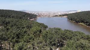 Aydos ormanı'na şehir içi otobüsler ile bir çok duraktan ulaşım sağlayabilirsiniz. Son Dakika Haberler Aydos Ormani Nin Sakli Guzelliginde Atik Tehlikesi Gundem Haberleri