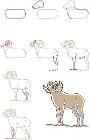 How To Draw A Bighorn Ram - Charcoals