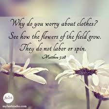 Look how the wild flowers grow. Pin On Verses Quotes