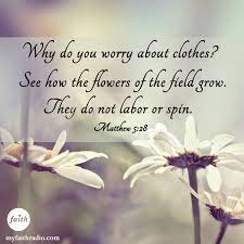 Scripture about flowers of the field. Pin On Verses Quotes