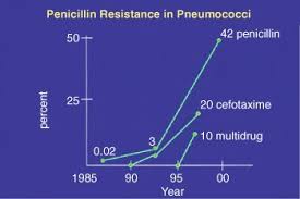 Image result for Penicillin Resistant Pneumococcus