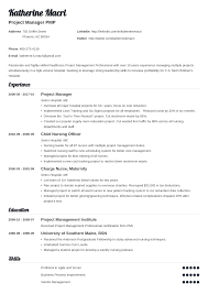 Technical project managers walk the line between project management and information technology. Best Project Manager Resume Examples 2021 Template Guide
