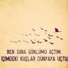 Ben Sana Gonlumu Actim Icimdeki Kuslar Dunyaya Uctu Sozler Anlamlisozler Guzelsozler Manalisozler Ozlusozler Alin Ozlu Sozler Alinti Sozler Alintilar