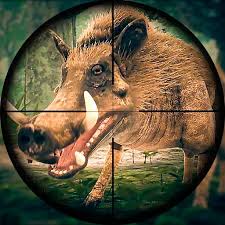 Rápido navegador para terminales android. Pig Hunting Safari Shooting Game 1 0 12 Mod Apk Dwnload Free Modded Unlimited Money On Android Mod1android