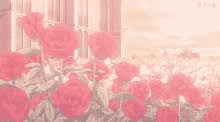 Try an other or come back to grey background clicking on this one Animated Flowers Gif Images Gifs Tenor