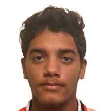 Dan Babb Profile & Career Stats