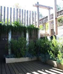 Der klassiker des mückenschutzes ist das fliegengitter , welches sie am fensterrahmen. Pflanzen Gegen Mucken 15 Pflanzliche Muckenfeinde Hausmitteln