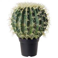 See more ideas about artificial cactus, succulents, cactus garden. Outdoor Artificial Cactus Plants In 2020 Artificial Garden Plants Artificial Plants Outdoor Small Artificial Plants