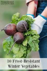 Other easy plants to grow include many herbs like oregano, parsley and basil. Top 12 Vegetables To Grow This Winter Frost Resistant Plants