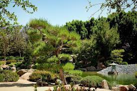 Japan Friendship Garden Phoenix Az Garden Japanese Garden Bonsai Plants