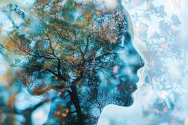 Image result for reflection