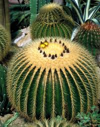 Uni Kiel Offnungszeiten Uni Kiel Zu Weihnachten Und Zum Jahreswechsel