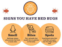 Bird spikes & netting, bird control products Ultimate Bed Bugs Guide Signs Causes Remedies To Kill