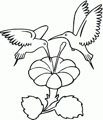 Free Printable Hummingbird Coloring Pages For Kids Flower Coloring Pages Hummingbird Colors Bird Coloring Pages