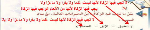 بين ما تجب فيه الزكاة من الحيوانات التالية مع بيان السبب المكتبة التعليمية