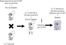 Leur classement est très difficile. Physiopathologie Des Maladies Auto Immunes Sciencedirect