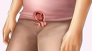 5 Semanas De Embarazo Segundo Mes Embarazoymas