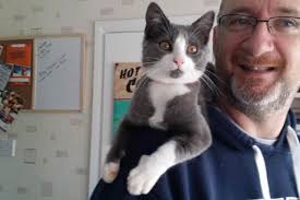 Grieving Milton Keynes cat owner offered bush after vet lost ashes of her  cremated pet