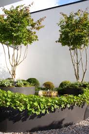 Parrotia Persica Persischer Eisenholzbaum Gartengestaltung Ch Eisenholzbaum Baum Vorgarten Baume Garten