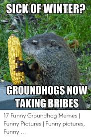 Sick Of Winter Groundhogs Now Taking Bribes 17 Funny Groundhog Memes Funny Pictures Funny Pictures Funny Funny Meme On Me Me This is a place to upload the funniest of all memes. groundhogs now taking bribes 17 funny