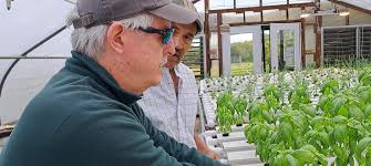 Kent Davis of Special Growers telling...