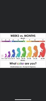 Maybe you would like to learn more about one of these? How Far Along 1st Pregnancy Forums What To Expect