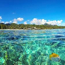 The Reef Pool Rarotonga Cook Islands South Pacific Islands South Pacific Island