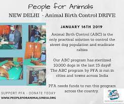 People For Animals Runs Abc Programs People For Animals Pfa Facebook