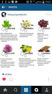 Common Plants Amazing Benefits Like Red Clover Dandelion Lemon Balm Chamomile Hibiscus Cinnamon Healing Tea Red Clover Benefits Medicinal Tea