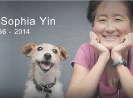 In Memoriam: Sophia Yin