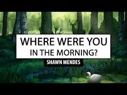 Shawn Mendes Where Were You In The Morning Lyrics Youtube Shawn Mendes Songs Shawn Mendes Lyrics Shawn Mendes
