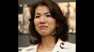 From “This Bald Guy” to Sanseito: The Fall and Return of Toyota Mayuko