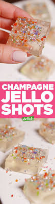 Champagne Jello Shots Recipe Jello Shot Recipes Shot Recipes Food